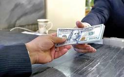 سلاطین ارز ترجیحی,ارز دولتی برای واردات