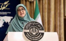 فاطمه مهاجرانی,سخنگوی دولت