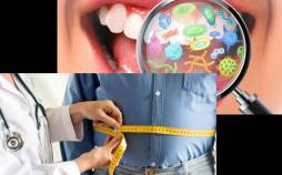 میکروب‌های دهان,پیشگیری از چاقی با میکروب‌های دهان