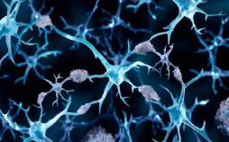 آلزایمر,مصنوعیت مبتلایان به سرطان از آلزایمر