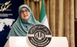 فاطمه مهاجرانی,سخنگوی دولت