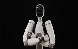 ربات,ربات انسان نمای الکس