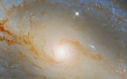 غیبت قمری بتا توری,ستاره بتا توری