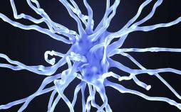 آلزایمر,دارویی برای توقف آلزایمر