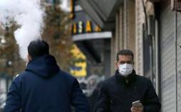 آنفلوآنزا,شیوع آنفلوآنزا در ایران