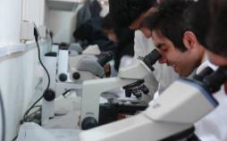 نخبگان,ریزش نخبگان در ایران