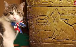 گربه,مشهورترین گربه‌های تاریخ