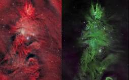 کریسمس در فضا,درخشش درخت کریسمس در دل فضا