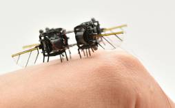 زنبور آهنی MIT,زنبور آهنی