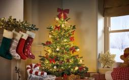 درخت کریسمس,تاریخچه و نمادهای درخت کریسمس