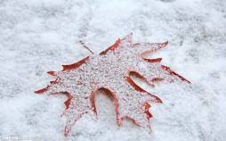 برف و باران در ایران,آخرین وضعیت آب و هوایی در ایران