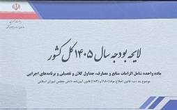 لایحه بودجه 1405,انتقاد روزنامه رئیس شورای اطلاع رسانی دولت از لایحه بودجه