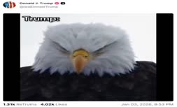 ویدئوی تحقیرآمیز ترامپ برای مادورو