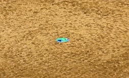 فیلم | دیدار صمیمانه زهرا پزشکیان با دختر الهام علی‌اف