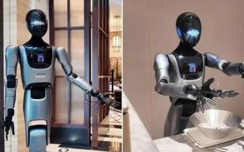 ربات‌های انسان‌نما,حضور ربات‌های انسان‌نما در هتل