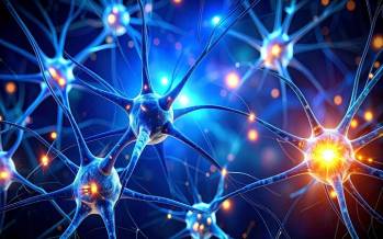 مغز,کشف زبان پنهان در مغز