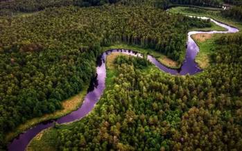 جنگل آمازون,فوق استوایی شدن جنگل آمازون