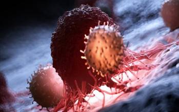 پروتئین,پروتئین برای کند کردن رشد سرطان