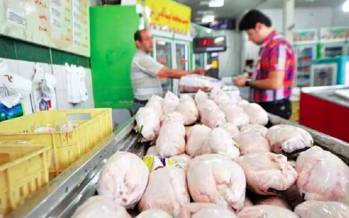 قیمت نجومی مرغ,مرغ