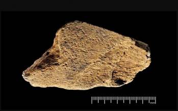 ابزار تاریخی,ساخته شدن یک ابزار تاریخی در 500 سال پیش