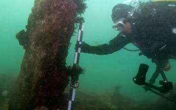 دیوار سنگی باستانی,کشف دیوار سنگی ۷۸۰۰ ساله در عمق ۹ متری اقیانوس