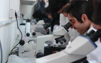 نخبگان,ریزش نخبگان در ایران