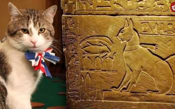 گربه,مشهورترین گربه‌های تاریخ