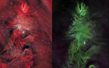 کریسمس در فضا,درخشش درخت کریسمس در دل فضا