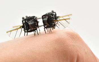 زنبور آهنی MIT,زنبور آهنی