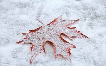 برف و باران در ایران,آخرین وضعیت آب و هوایی در ایران