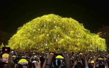 فیلم | متفاوت ترین درخت کریسمس 2026 در هند