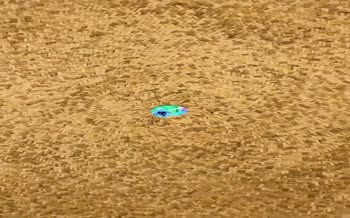 فیلم | دیدار صمیمانه زهرا پزشکیان با دختر الهام علی‌اف