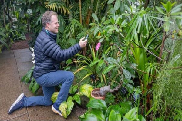 گیاهان,گفتگو گیاهان