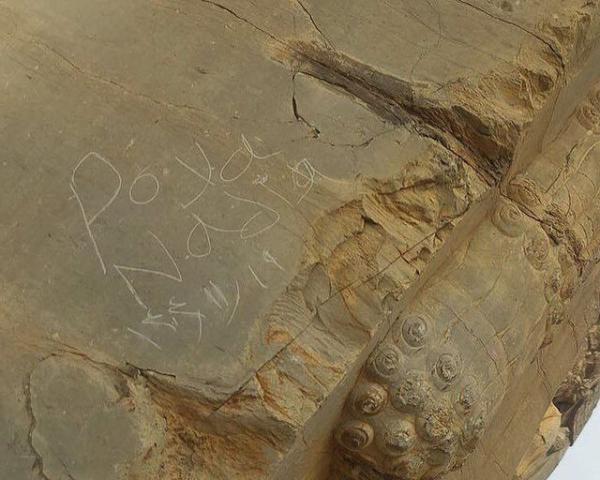 تخت جمشید,یادگارنویسی تازه در تخت جمشید