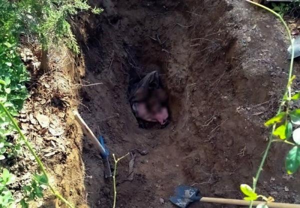 قتل در تهران,افشای جنایت عاشقانه در تهران