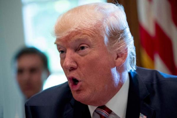 دونالد ترامپ,رئیس جمهور آمریکا