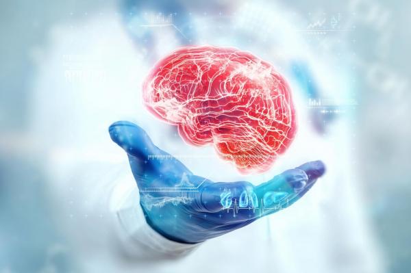 بازگشت به جوانی با رژیم غذایی,کشف سطل زباله هوشمند در مغز انسان