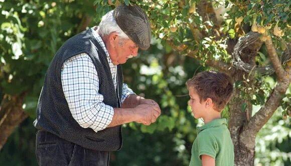 طول عمر طول عمر,افزایش طول عمر