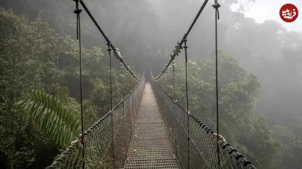 پل پل,زیباترین پلهای جهان