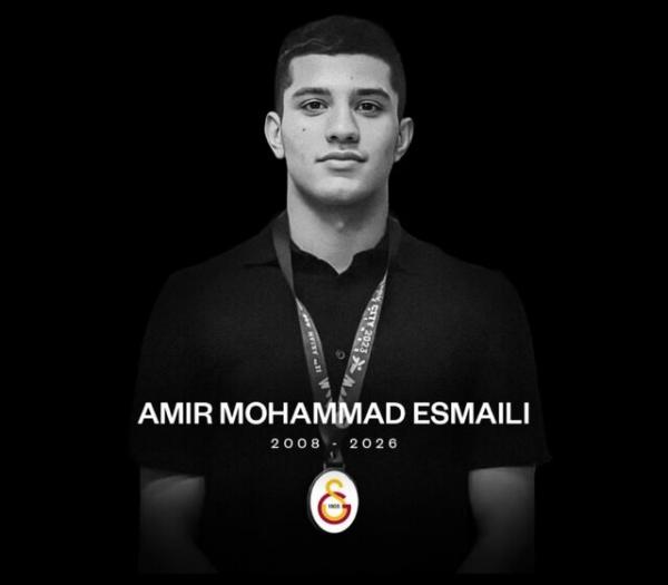 امیرمحمد اسمعیلی امیرمحمد اسمعیلی,فوت امیرمحمد اسمعیلی ملیپوش جوان واترپلو