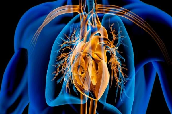 قلب,فواید داروی لاغری پرمصرف این روزها برای قلب