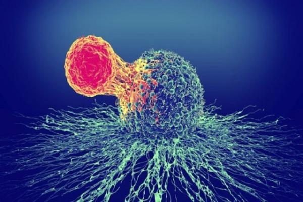سرطان,روشی جدید برای درمان سرطان بدون عوارض جانبی