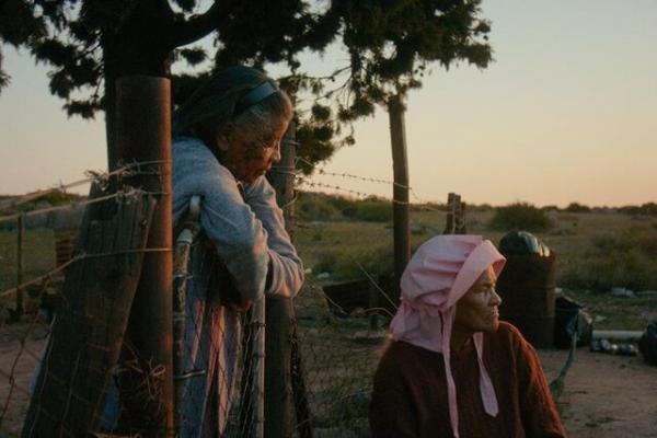 جشنواره فیلم روتردام ۲۰۲۶,برندگان جشنواره فیلم روتردام ۲۰۲۶