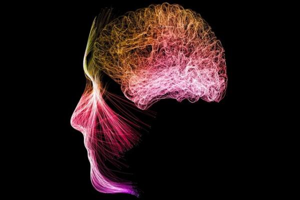 مغز,تغییر فعالیت مغز با مدیتیشن