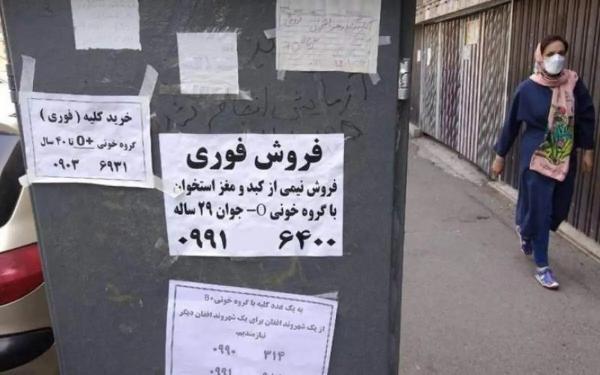 فروش کلیه در ایران,سیل فروش کلیه در ایران بخاطر نیاز مالی