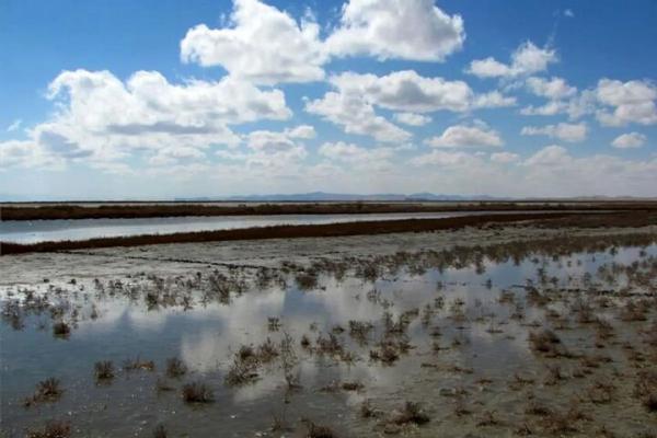 تالاب,اثر بارندگی‌های اخیر بر وضعیت تالاب ها