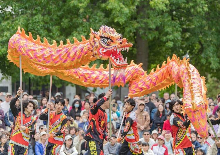 تصاویر جشنواره سال نو چینی 2026 در نیوزیلند,عکس های سال نو چینی در نیوزیلند,تصاویری از جشن سال نو چینی 2026