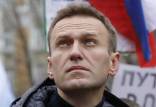 ناوالنی,مخالف پوتین