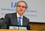 گروسی,مدیرکل آژانس بین‌المللی انرژی اتمی
