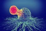 سرطان,روشی جدید برای درمان سرطان بدون عوارض جانبی